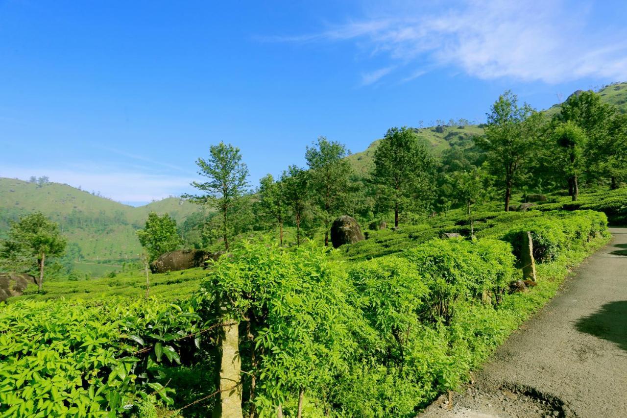 Green Magic Home Munnar Kültér fotó