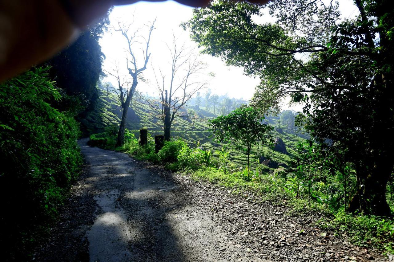 Green Magic Home Munnar Kültér fotó