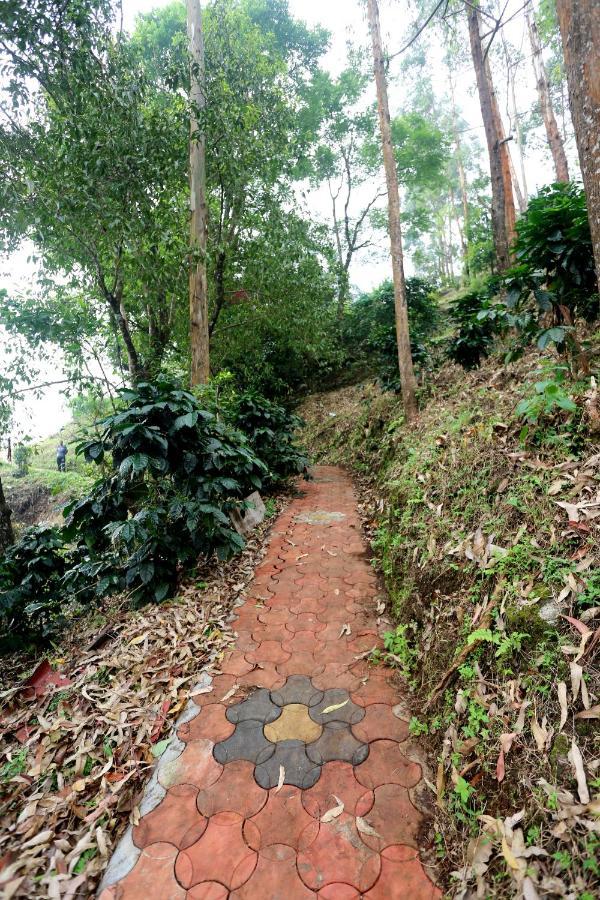 Green Magic Home Munnar Kültér fotó