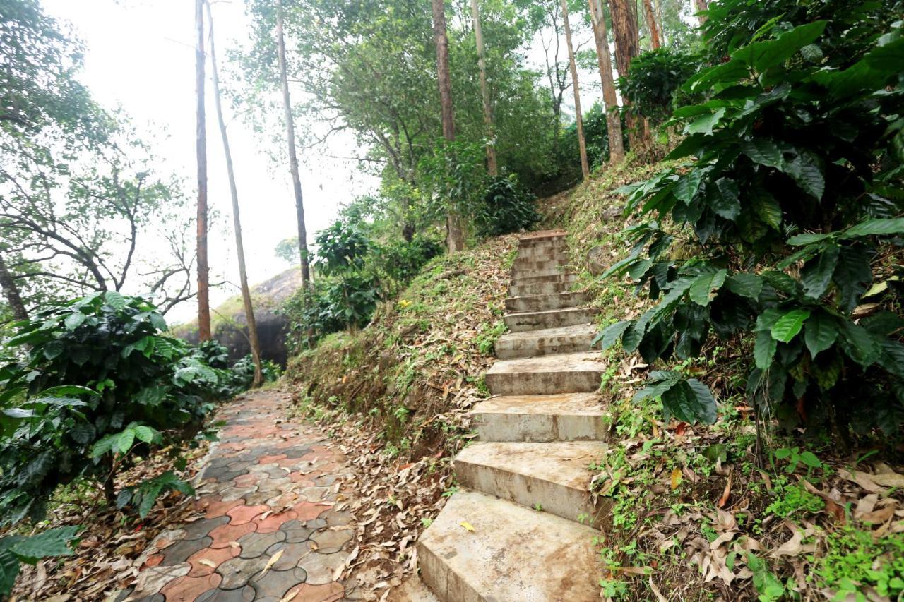 Green Magic Home Munnar Kültér fotó