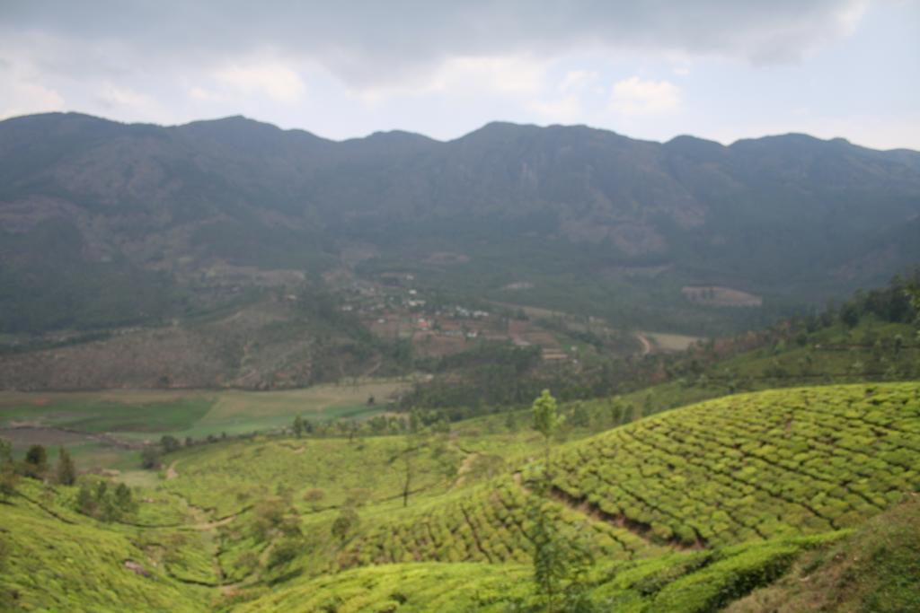 Green Magic Home Munnar Kültér fotó